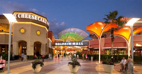 dolphin mall store locations.